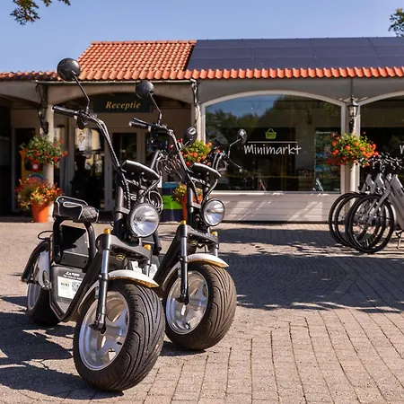 Summio Parc Duc De Brabant 3* Westelbeers